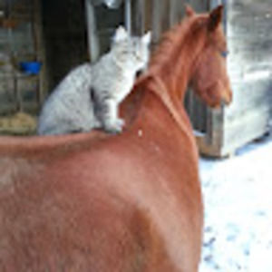 Meet your Posher, Heather